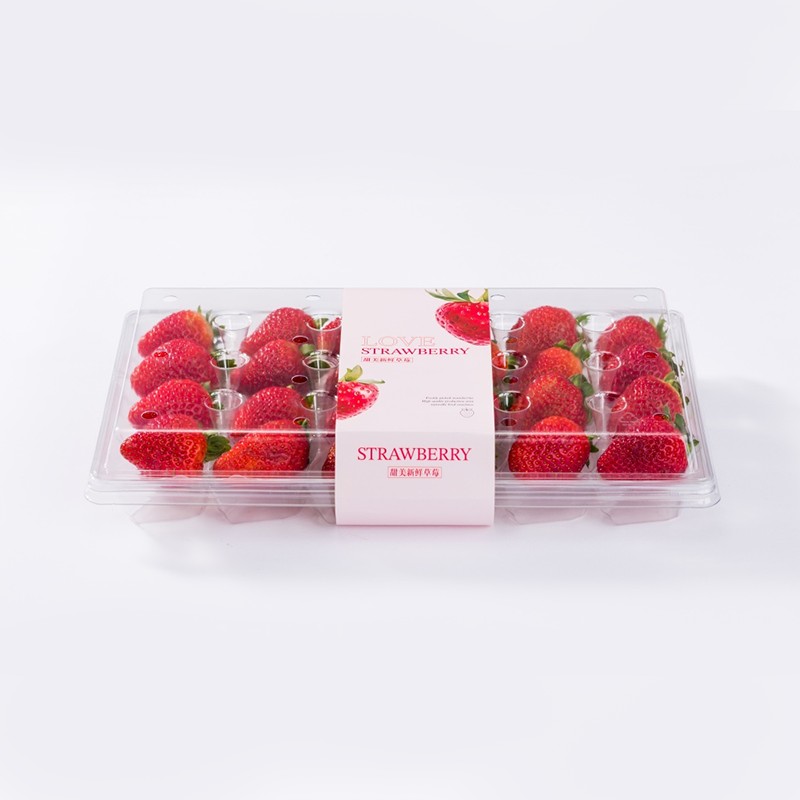 Caja de bayas de plástico transparente termoformada con forma de concha de fresa para mascotas XGL-24