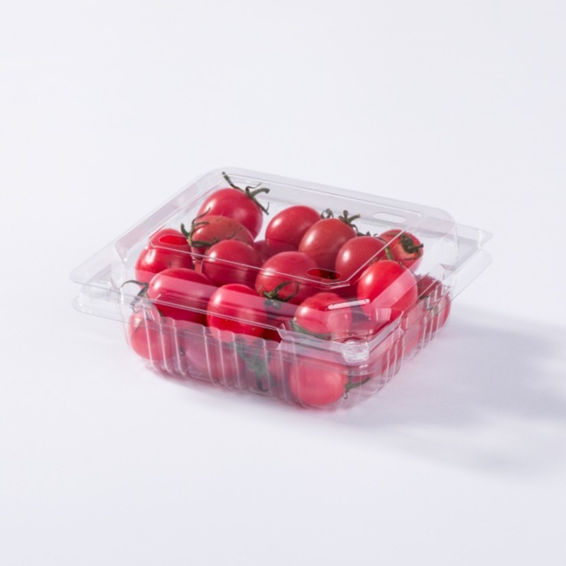 Contenedor tipo concha para sellar frutas PET cuadradas XGL-250G