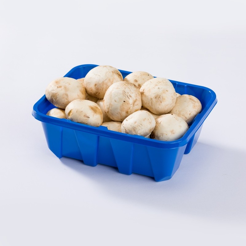 Bandeja de exhibición de hongos profunda PET azul XGL-460G con estructura reforzada