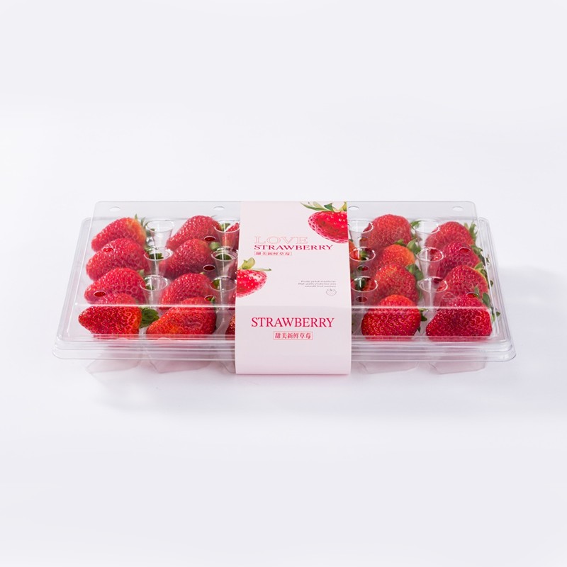 Contenedor de exhibición de frutas frescas para supermercado con embalaje minorista de fresa para mascotas XGL-28