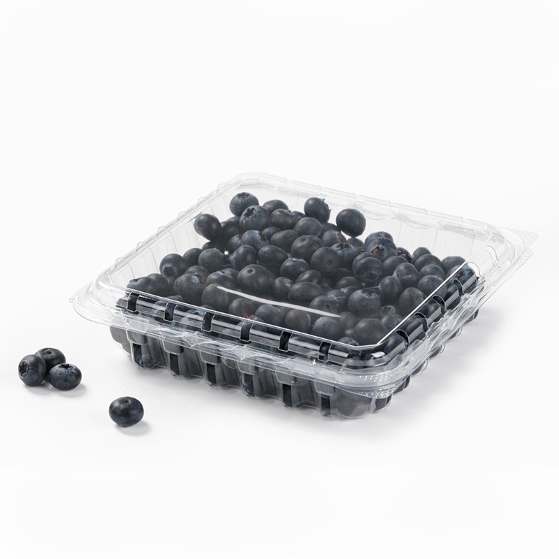 Contenedor cuadrado tipo concha para frutas estéticamente agradable XGL-500 PET