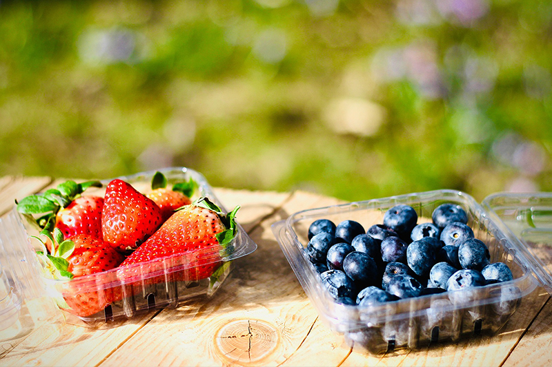 Contenedor transparente para conchas de frutas PET